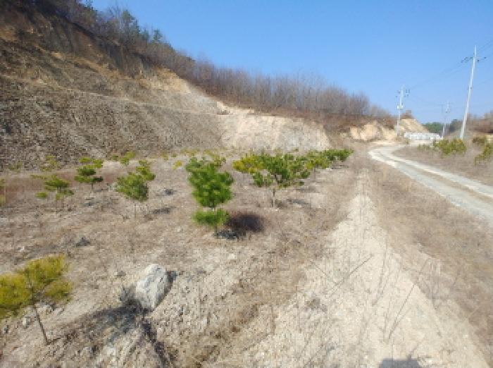 충청남도 금산군 금성면 도곡리 307-4 외 17필지 임야 경매 사진 105