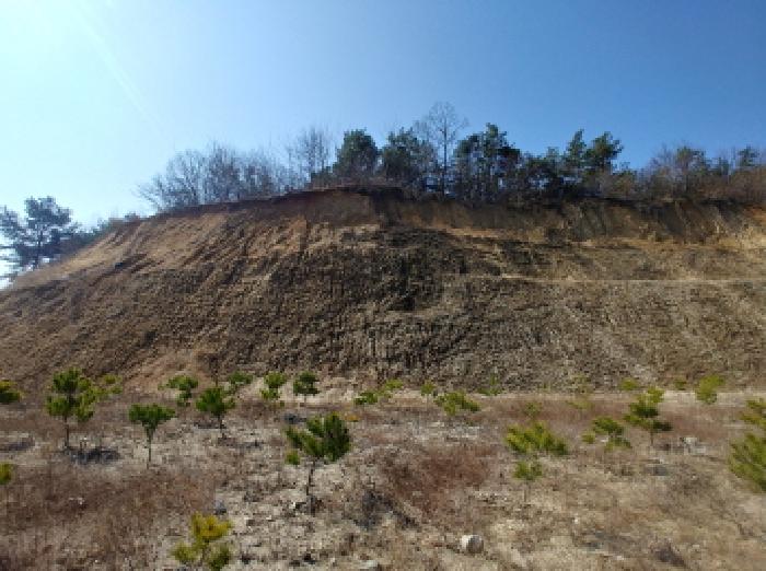 충청남도 금산군 금성면 도곡리 307-4 외 17필지 임야 경매 사진 106