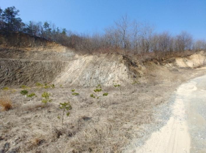 충청남도 금산군 금성면 도곡리 307-4 외 17필지 임야 경매 사진 109