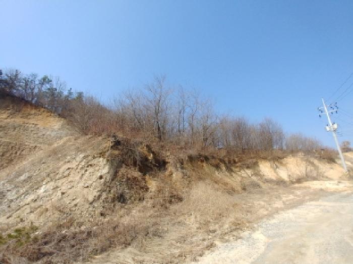 충청남도 금산군 금성면 도곡리 307-4 외 17필지 임야 경매 사진 110