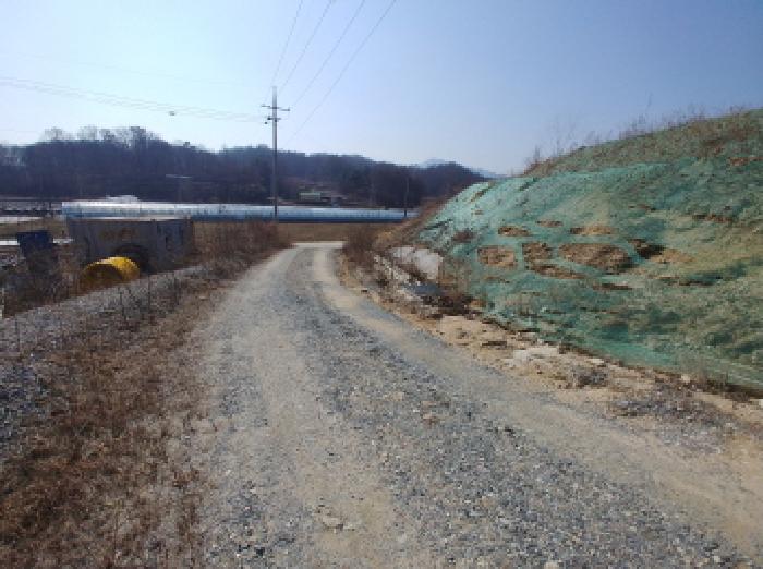 충청남도 금산군 금성면 도곡리 307-4 외 17필지 임야 경매 사진 12