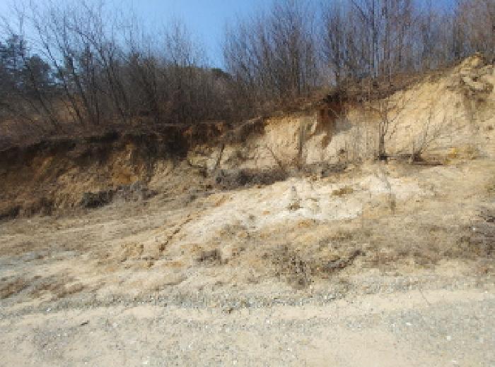 충청남도 금산군 금성면 도곡리 307-4 외 17필지 임야 경매 사진 111