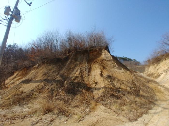 충청남도 금산군 금성면 도곡리 307-4 외 17필지 임야 경매 사진 113