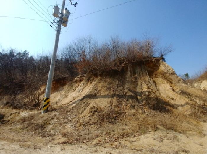 충청남도 금산군 금성면 도곡리 307-4 외 17필지 임야 경매 사진 114