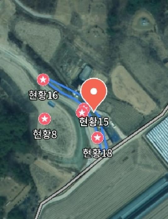충청남도 금산군 금성면 도곡리 307-4 외 17필지 임야 경매 사진 123