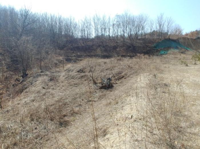 충청남도 금산군 금성면 도곡리 307-4 외 17필지 임야 경매 사진 149
