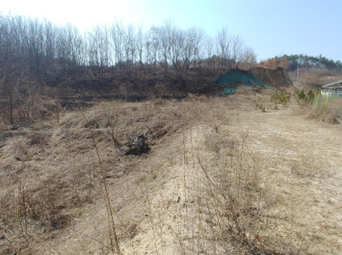 충청남도 금산군 금성면 도곡리 307-4 외 17필지 임야 경매 사진 150