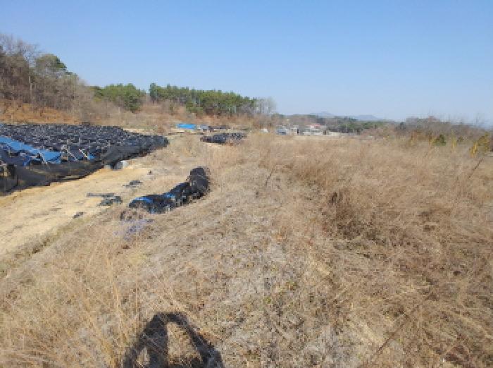 충청남도 금산군 금성면 도곡리 307-4 외 17필지 임야 경매 사진 151