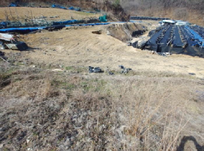 충청남도 금산군 금성면 도곡리 307-4 외 17필지 임야 경매 사진 153
