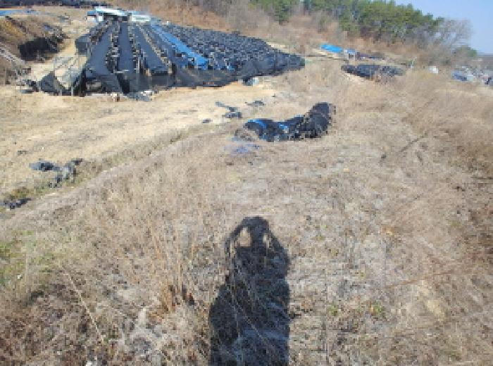 충청남도 금산군 금성면 도곡리 307-4 외 17필지 임야 경매 사진 154