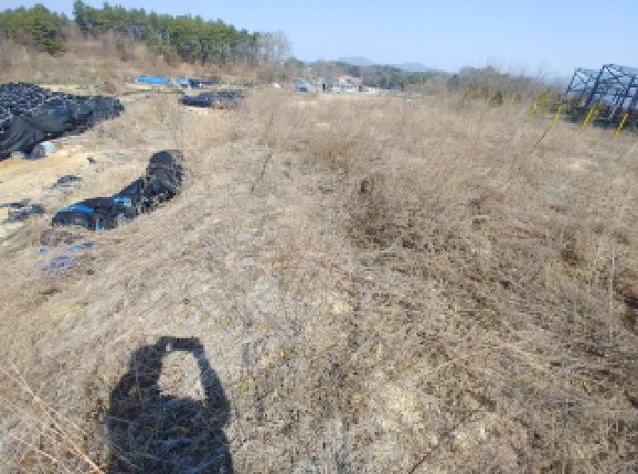 충청남도 금산군 금성면 도곡리 307-4 외 17필지 임야 경매 사진 155