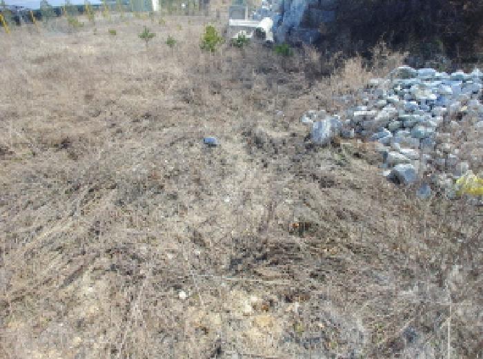 충청남도 금산군 금성면 도곡리 307-4 외 17필지 임야 경매 사진 156