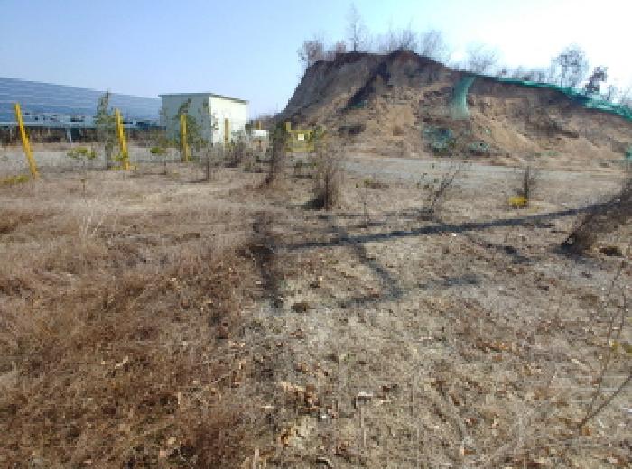 충청남도 금산군 금성면 도곡리 307-4 외 17필지 임야 경매 사진 158