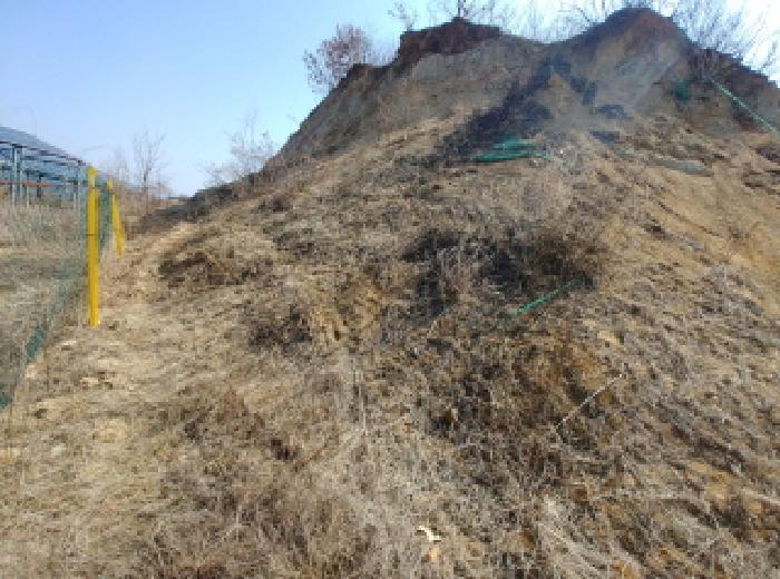 충청남도 금산군 금성면 도곡리 307-4 외 17필지 임야 경매 사진 162