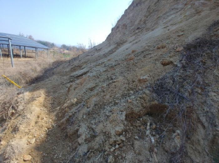 충청남도 금산군 금성면 도곡리 307-4 외 17필지 임야 경매 사진 163