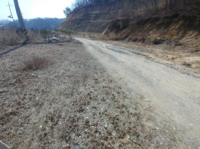 충청남도 금산군 금성면 도곡리 307-4 외 17필지 임야 경매 사진 166