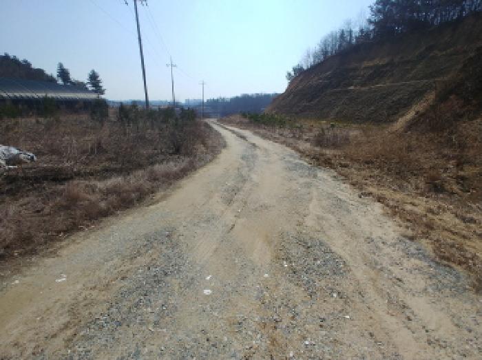 충청남도 금산군 금성면 도곡리 307-4 외 17필지 임야 경매 사진 167
