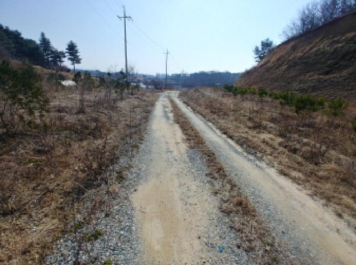 충청남도 금산군 금성면 도곡리 307-4 외 17필지 임야 경매 사진 168