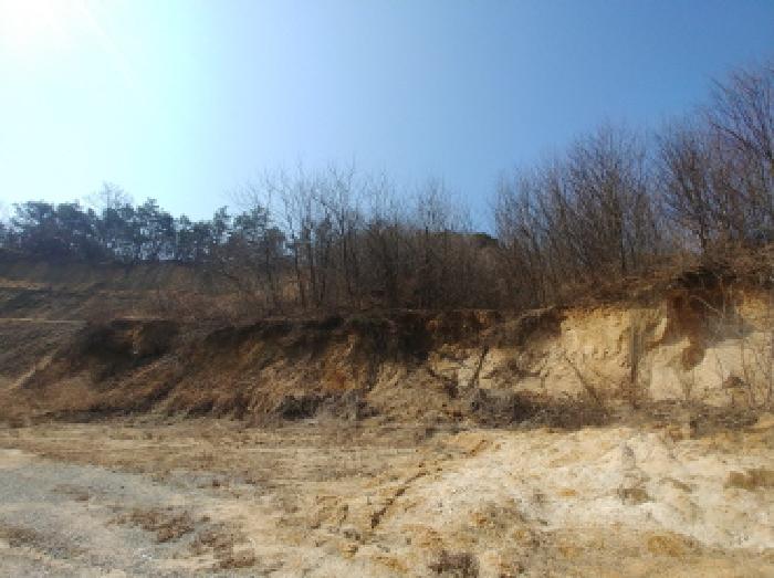 충청남도 금산군 금성면 도곡리 307-4 외 17필지 임야 경매 사진 170