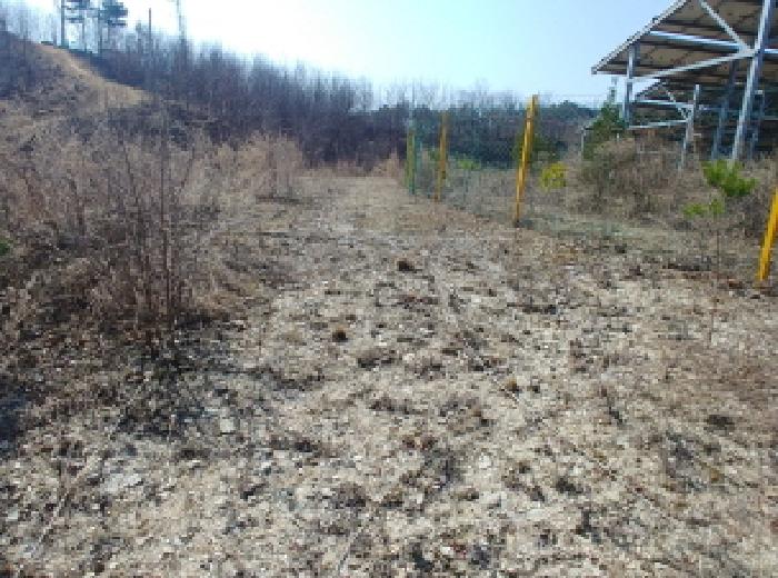 충청남도 금산군 금성면 도곡리 307-4 외 17필지 임야 경매 사진 18