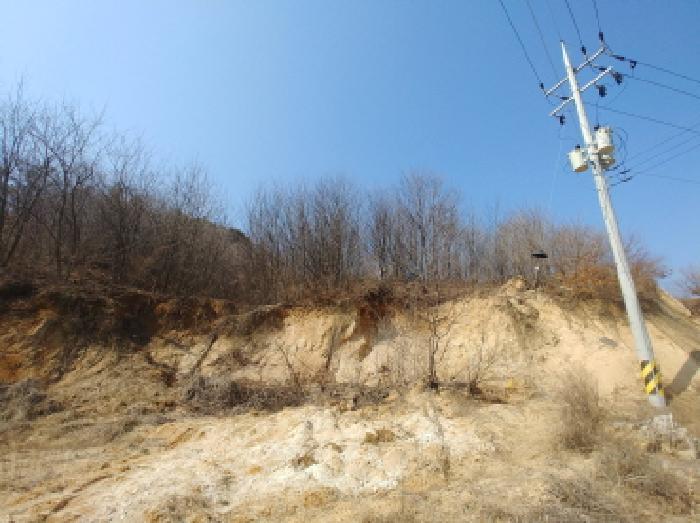 충청남도 금산군 금성면 도곡리 307-4 외 17필지 임야 경매 사진 171