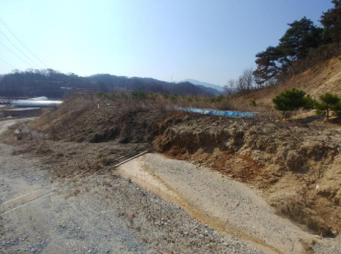 충청남도 금산군 금성면 도곡리 307-4 외 17필지 임야 경매 사진 172
