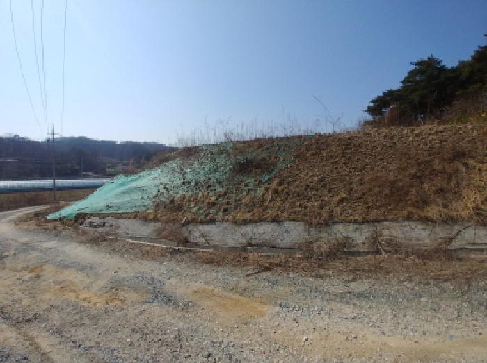 충청남도 금산군 금성면 도곡리 307-4 외 17필지 임야 경매 사진 173