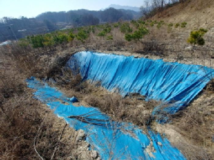 충청남도 금산군 금성면 도곡리 307-4 외 17필지 임야 경매 사진 175