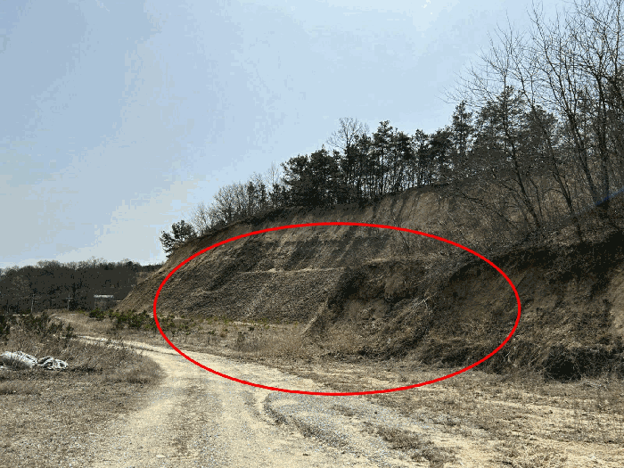 충청남도 금산군 금성면 도곡리 307-4 외 17필지 임야 경매 사진 200