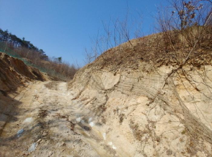 충청남도 금산군 금성면 도곡리 307-4 외 17필지 임야 경매 사진 22