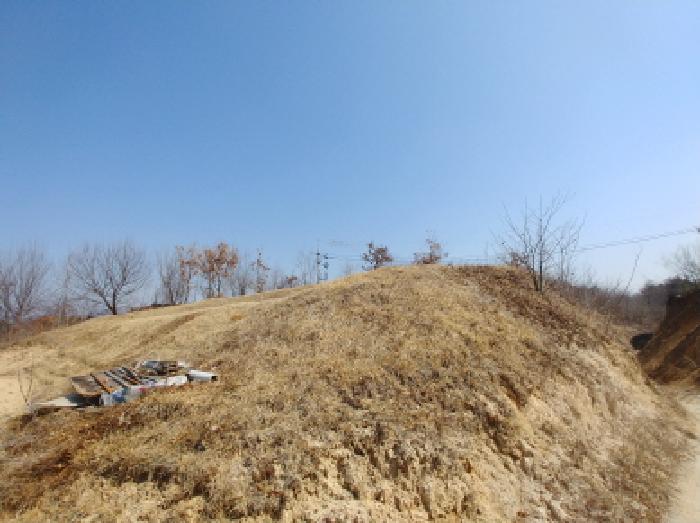 충청남도 금산군 금성면 도곡리 307-4 외 17필지 임야 경매 사진 23