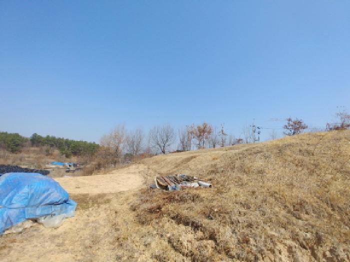 충청남도 금산군 금성면 도곡리 307-4 외 17필지 임야 경매 사진 24