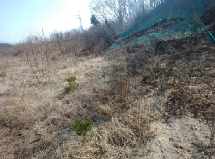 충청남도 금산군 금성면 도곡리 307-4 외 17필지 임야 경매 사진 28