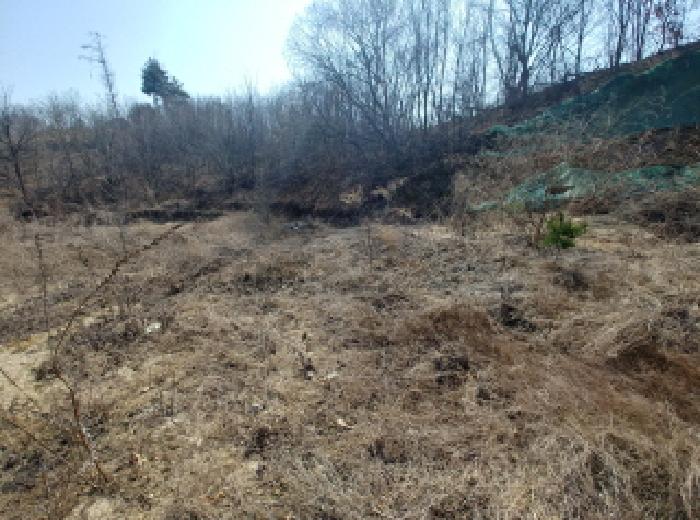 충청남도 금산군 금성면 도곡리 307-4 외 17필지 임야 경매 사진 30