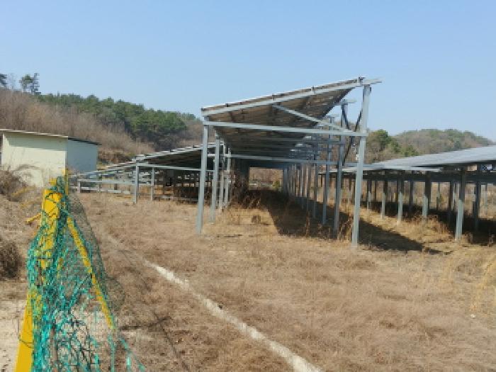 충청남도 금산군 금성면 도곡리 307-4 외 17필지 임야 경매 사진 4