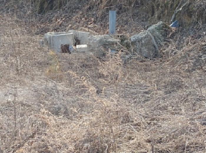 충청남도 금산군 금성면 도곡리 307-4 외 17필지 임야 경매 사진 31