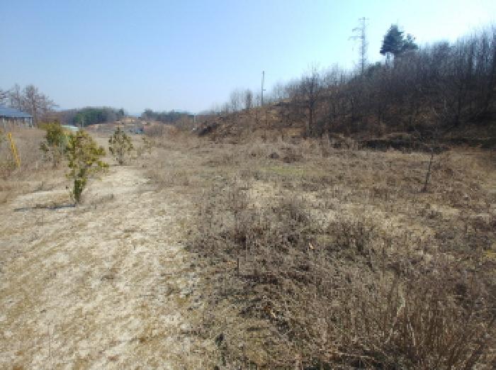 충청남도 금산군 금성면 도곡리 307-4 외 17필지 임야 경매 사진 32
