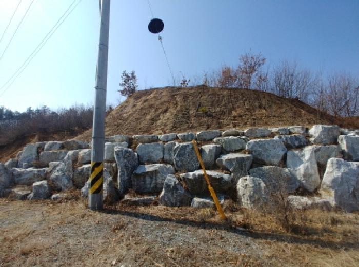충청남도 금산군 금성면 도곡리 307-4 외 17필지 임야 경매 사진 44