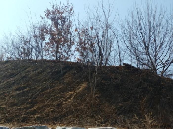 충청남도 금산군 금성면 도곡리 307-4 외 17필지 임야 경매 사진 50