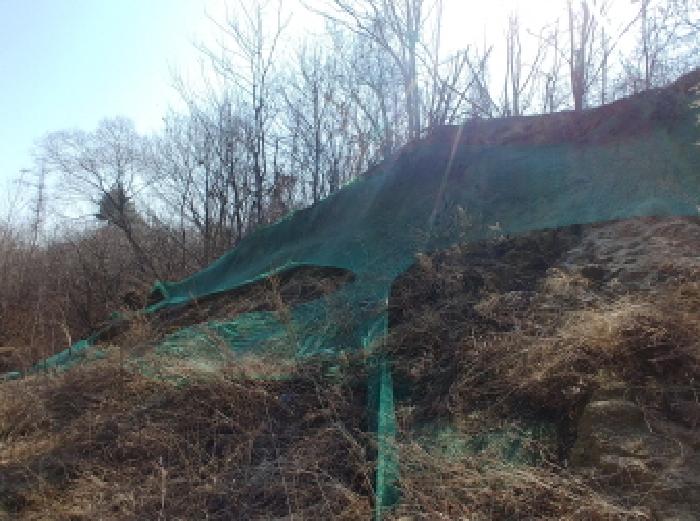 충청남도 금산군 금성면 도곡리 307-4 외 17필지 임야 경매 사진 52