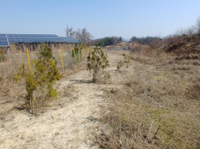 충청남도 금산군 금성면 도곡리 307-4 외 17필지 임야 경매 사진 54