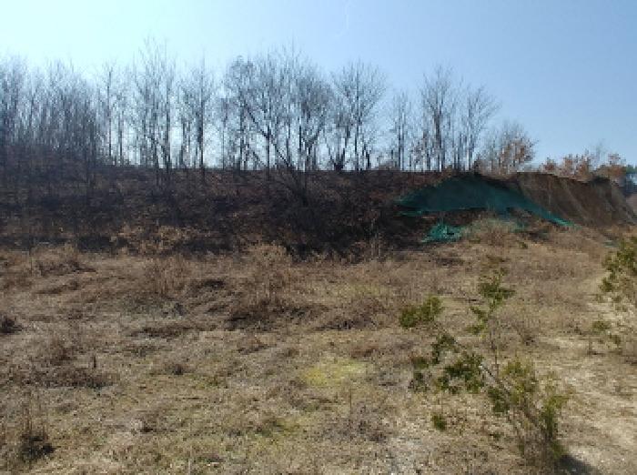 충청남도 금산군 금성면 도곡리 307-4 외 17필지 임야 경매 사진 55