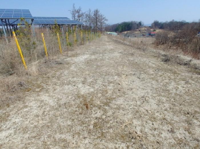 충청남도 금산군 금성면 도곡리 307-4 외 17필지 임야 경매 사진 56