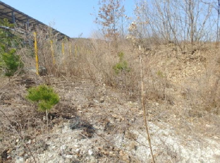 충청남도 금산군 금성면 도곡리 307-4 외 17필지 임야 경매 사진 60