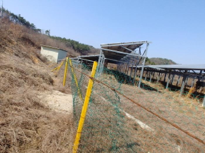 충청남도 금산군 금성면 도곡리 307-4 외 17필지 임야 경매 사진 7
