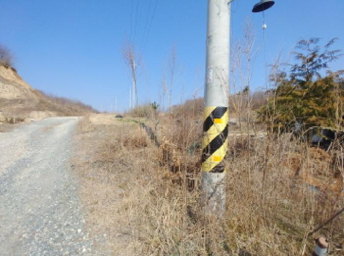 충청남도 금산군 금성면 도곡리 307-4 외 17필지 임야 경매 사진 66