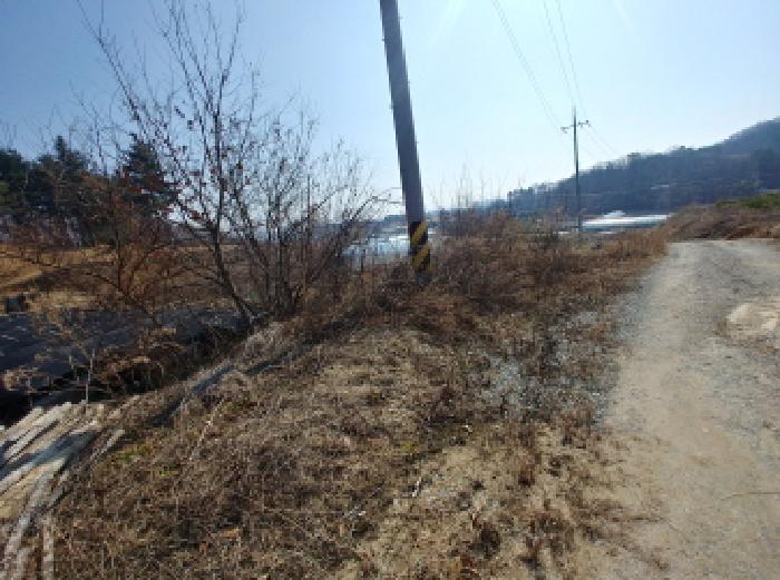 충청남도 금산군 금성면 도곡리 307-4 외 17필지 임야 경매 사진 68