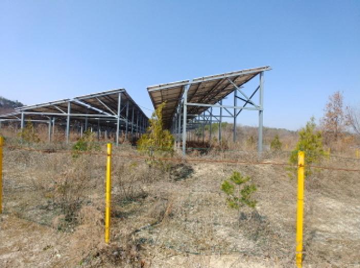 충청남도 금산군 금성면 도곡리 307-4 외 17필지 임야 경매 사진 69
