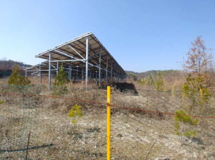 충청남도 금산군 금성면 도곡리 307-4 외 17필지 임야 경매 사진 70