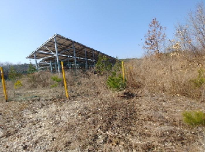 충청남도 금산군 금성면 도곡리 307-4 외 17필지 임야 경매 사진 71